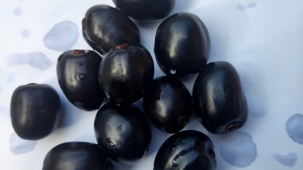 जामुन खाने का सही तरीका: आप कभी भी खाली पेट जामुन न खाएं. इससे पेट में गैस और एसिडिटी हो सकती है. जामुन खाने के कुछ घंटे बाद लंच या नाश्ता करना सही होता है. जामुन में काला नमक डालकर खाने से पाचन सुधरता है और स्वाद भी बेहतर होता है. (Disclaimer: इस खबर में दी गई जानकारी केवल सामन्य ज्ञान पर आधारित है.)