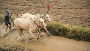 क्या किसानों को अब पहले से ज्यादा मिलेगा कृषि लोन? वित्त मंत्री ने दिए बैंकों को खास निर्देश