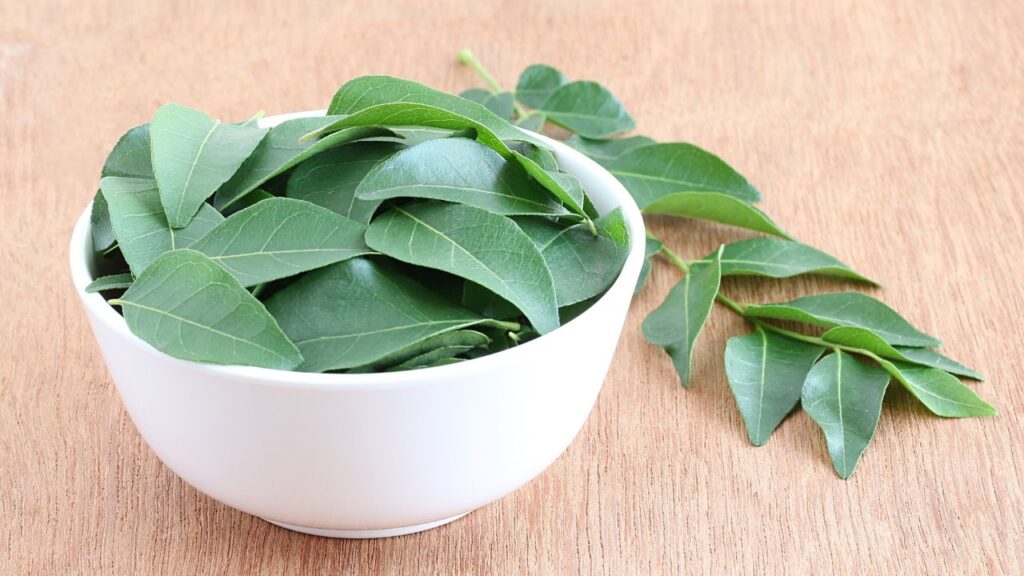 परंपरागत तरीका अपनाएं पत्तों को अच्छे से धोकर पूरी तरह सूखा लें और एक साफ कॉटन के सूखे कपड़े में लपेट दें. फिर इसे एक डिब्बे में बंद कर फ्रिज में रखें. इससे पत्ते ज्यादा समय तक ताजे बने रहते हैं.