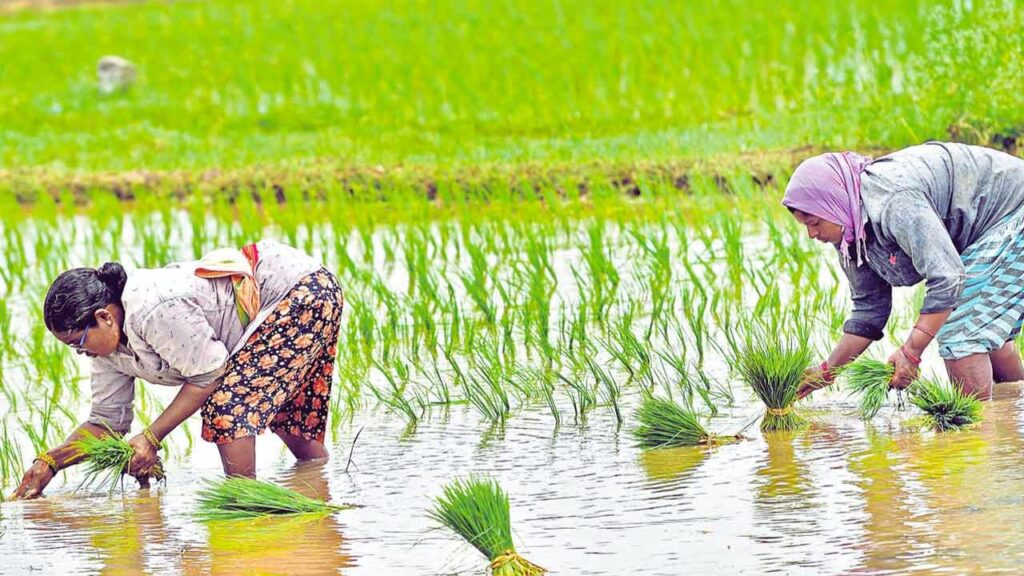 Irrigation