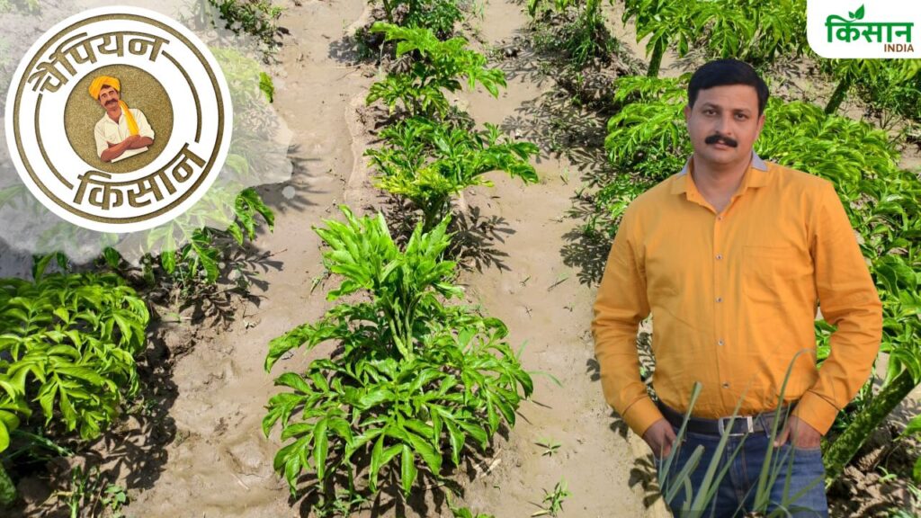 Champion Kisan