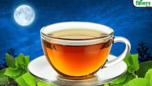 सिर्फ पूर्णिमा की रात होती है इस चाय की तुड़ाई, कीमत 40,000 रुपये! जानिए इसकी खासियत
