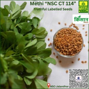 National Seed Corporation