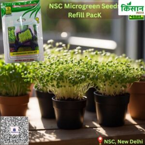Microgreen Seeds