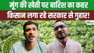 MP के रायसेन में मूंग खरीदी पर गहराया संकट! किसानों का हाल बेहाल!
