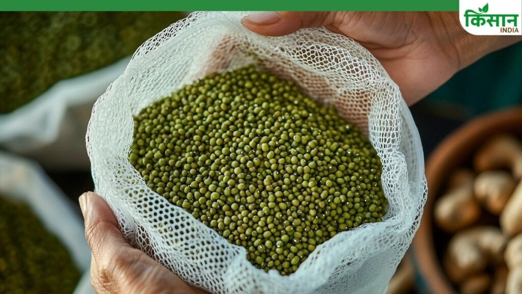 Moong Purchase at MSP in Madhya Pradesh