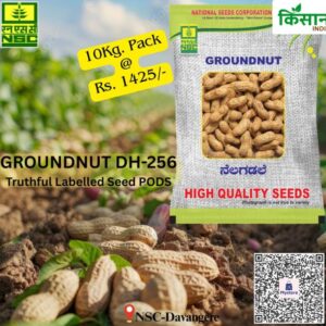 National Seed Corporation
