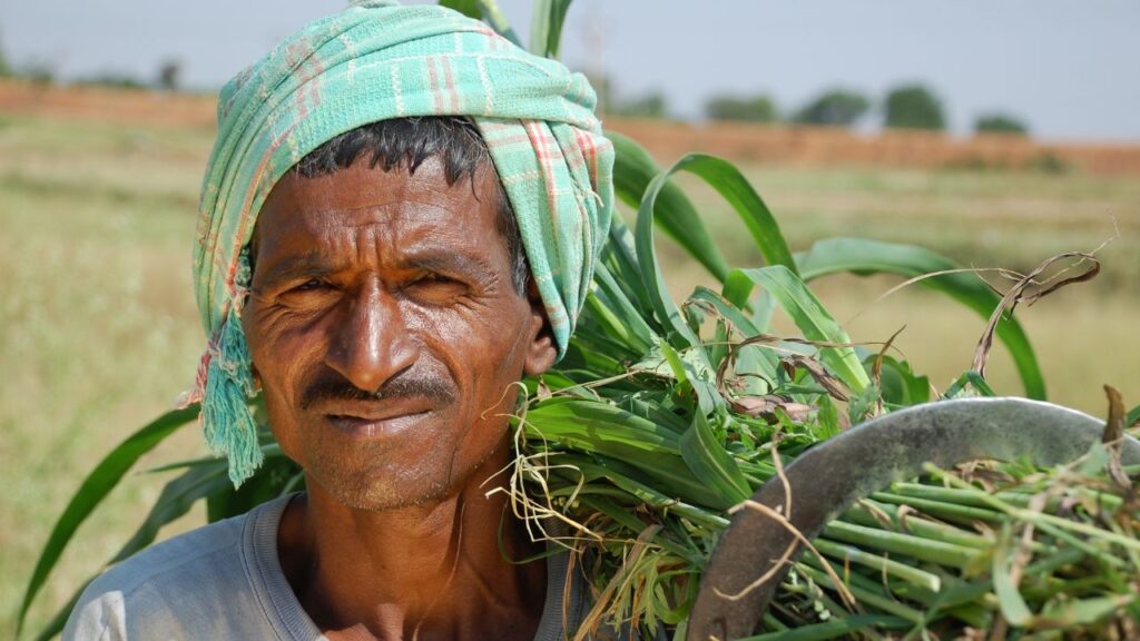 पीएम किसान सम्मान निधि: यह योजना छोटे किसानों को आर्थिक सहारा देने के लिए शुरू की गई थी. इसके अंतर्गत साल में तीन किस्तों में ₹6,000 सीधे किसानों के बैंक खाते में ट्रांसफर किए जाते हैं, जो बीज, खाद, सिंचाई जैसी जरूरतों में मददगार होते हैं. पीएम किसान सम्मान निधि: यह योजना छोटे किसानों को आर्थिक सहारा देने के लिए शुरू की गई थी. इसके अंतर्गत साल में तीन किस्तों में ₹6,000 सीधे किसानों के बैंक खाते में ट्रांसफर किए जाते हैं, जो बीज, खाद, सिंचाई जैसी जरूरतों में मददगार होते हैं.