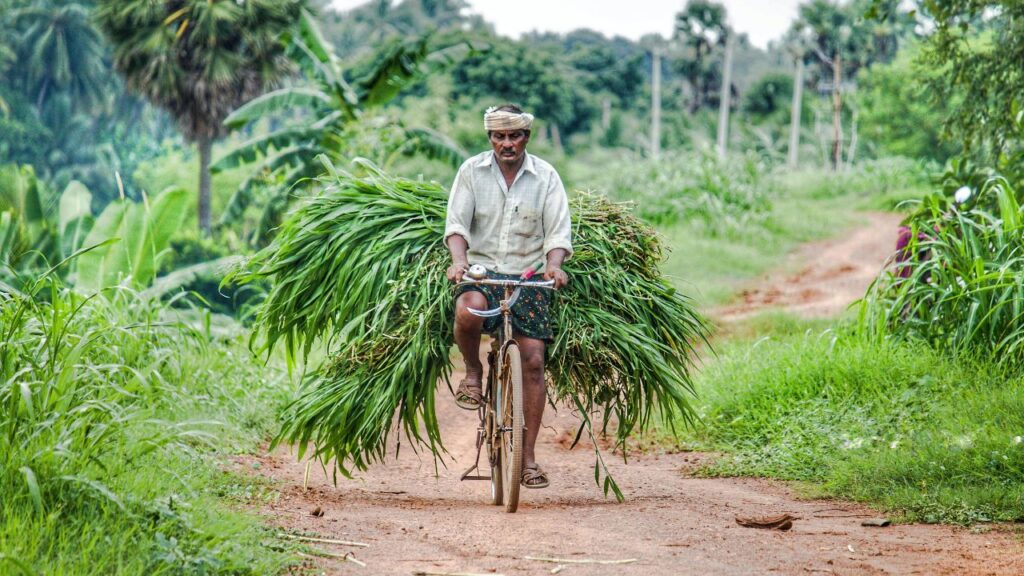 PM Kisan Yojana