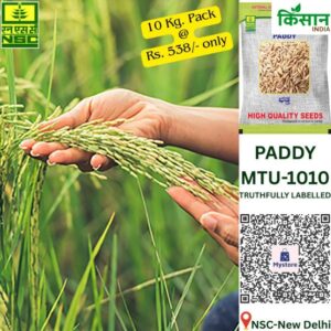 National Seed Corporation