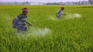 किसानों को राहत, बढ़ाई गई फसल बीमा की अंतिम तारीख, किसान ऐसे करें ऑनलाइन रजिस्ट्रेशन