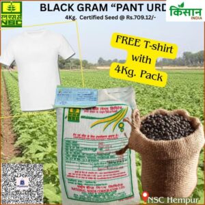 National Seed Corporation