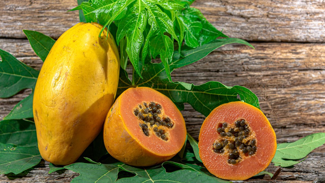 High Yield Red Lady 786 Papaya Farming Profit Per Acre India Farmers Income Guide