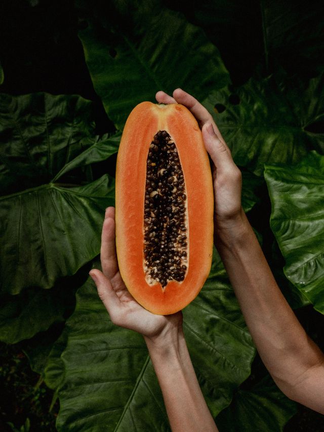 बिना खेत घर पर उगाएं पपीता, जानें आसान तरीका!