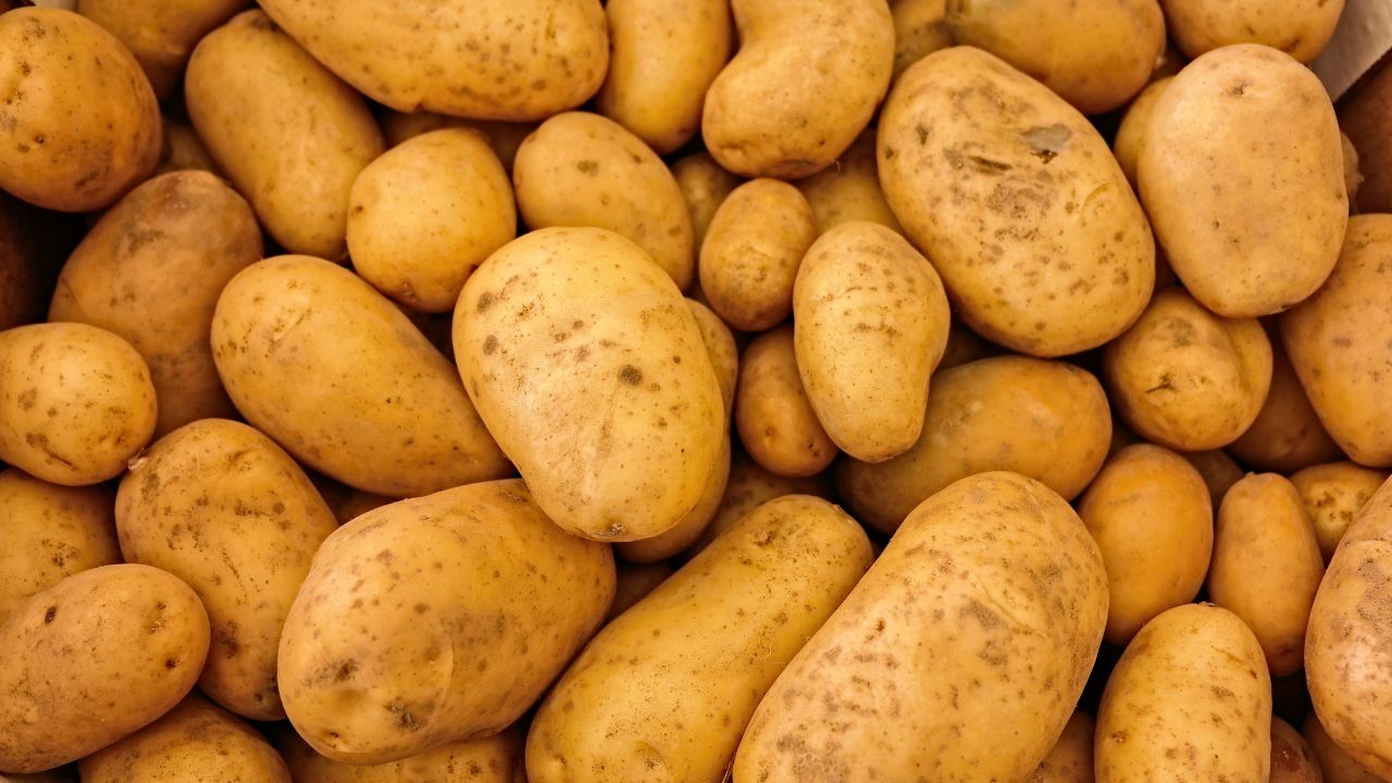 Mandi Bhav Potato Prices Fallen To Rs 180 Per Quintal Ambala Haryana News