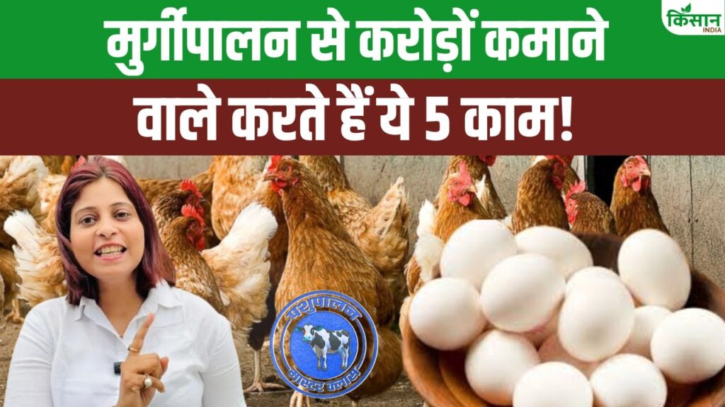 Poultry Farming