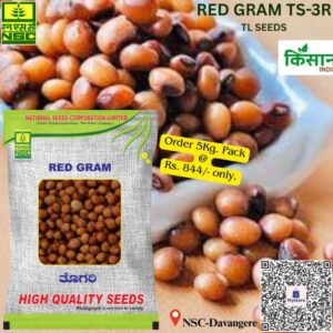 National Seed Corporation