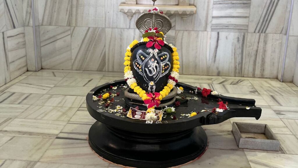 सावन सोमवार के दिन प्रातः स्नान करके स्वच्छ वस्त्र धारण करें. घर में या मंदिर में शिवलिंग की स्थापना कर साफ-सुथरे स्थान पर पूजन करें. व्रत का संकल्प लें और मन, वचन और कर्म से पवित्र रहें. सावन सोमवार के दिन प्रातः स्नान करके स्वच्छ वस्त्र धारण करें. घर में या मंदिर में शिवलिंग की स्थापना कर साफ-सुथरे स्थान पर पूजन करें. व्रत का संकल्प लें और मन, वचन और कर्म से पवित्र रहें.