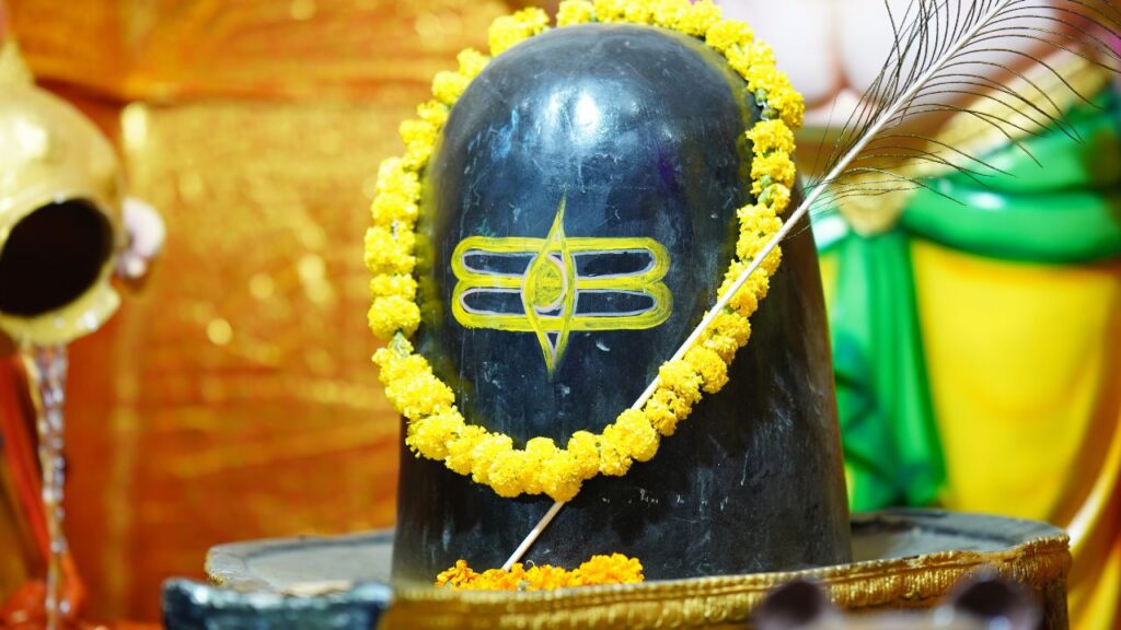 शिवलिंग का अभिषेक जल, दूध, दही, शहद, घी और गंगाजल से करें. इसके बाद बेलपत्र, सफेद पुष्प, धतूरा, आक के फूल, भस्म, अक्षत और सफेद मिठाई चढ़ाएं. शिवजी को सफेद चीजें अर्पित करना विशेष रूप से शुभ होता है. शिवलिंग का अभिषेक जल, दूध, दही, शहद, घी और गंगाजल से करें. इसके बाद बेलपत्र, सफेद पुष्प, धतूरा, आक के फूल, भस्म, अक्षत और सफेद मिठाई चढ़ाएं. शिवजी को सफेद चीजें अर्पित करना विशेष रूप से शुभ होता है.