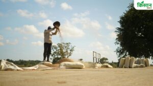 अनाज को भूसे से अलग करना होगा आसान, थ्रेसिंग फ्लोर के लिए सरकार दे रही 50 फीसदी सब्सिडी