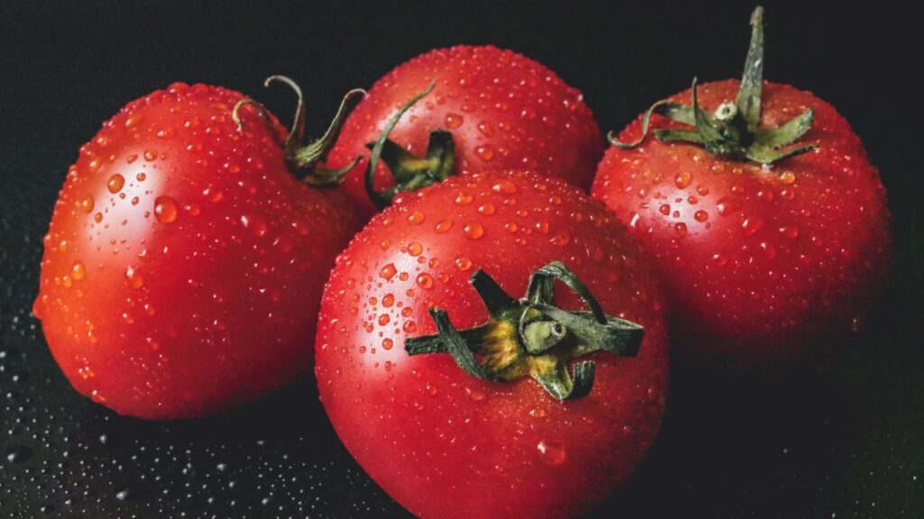 बारिश के मौसम में टमाटर जल्दी गलने लगते हैं. यह गलन कई बार सतह पर नहीं दिखती, लेकिन भीतर बैक्टीरिया पनप चुके होते हैं. ऐसे टमाटर खाने से फूड इंफेक्शन, एसिडिटी और पेट की समस्याएं हो सकती हैं.