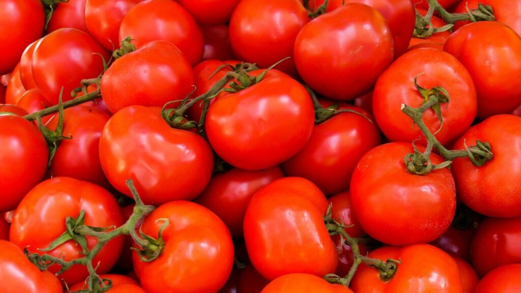 Tomato mandi rate
