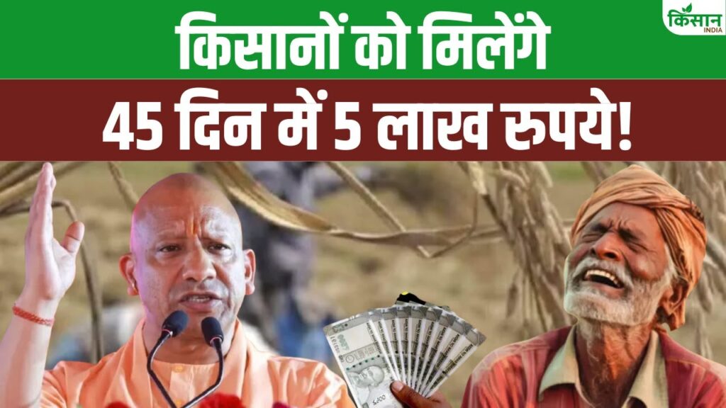 Uttar Pradesh News