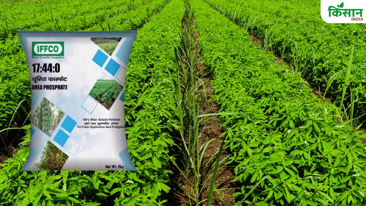 खेत की पैदावार बढ़ाने के लिए ड्रिप सिंचाई से इस उर्वरक का करें छिड़काव, चौंका देगा रिजल्ट