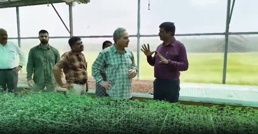vegetable farming with modern techniques.