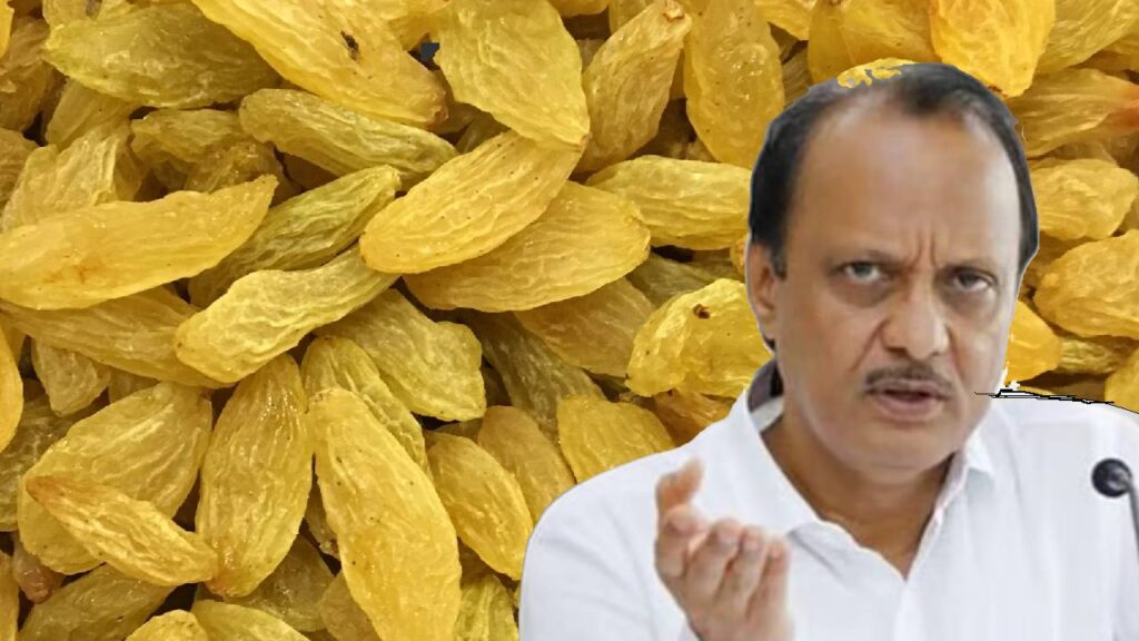 Ajit Pawar Urges Centre to Stop Illegal Import of Substandard Chinese Raisins