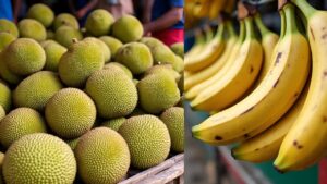 किसानों को मिलेगा उपज का उचित रेट.. केला, कटहल सहित इन फसलों की होगी सीधी खरीद