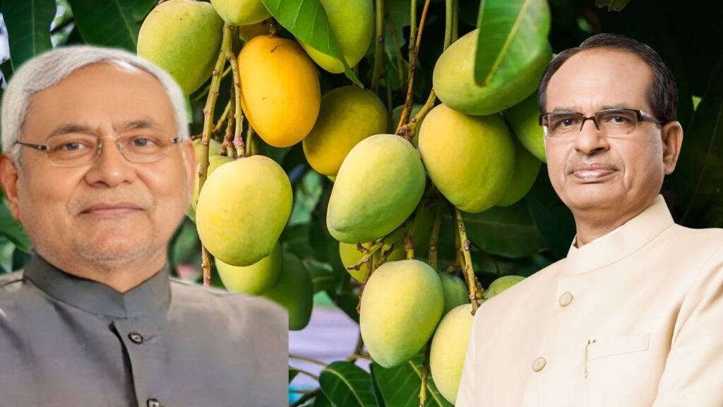 Seven GI-Tagged Bihar Products Added to e-NAM for Nationwide Online Trade