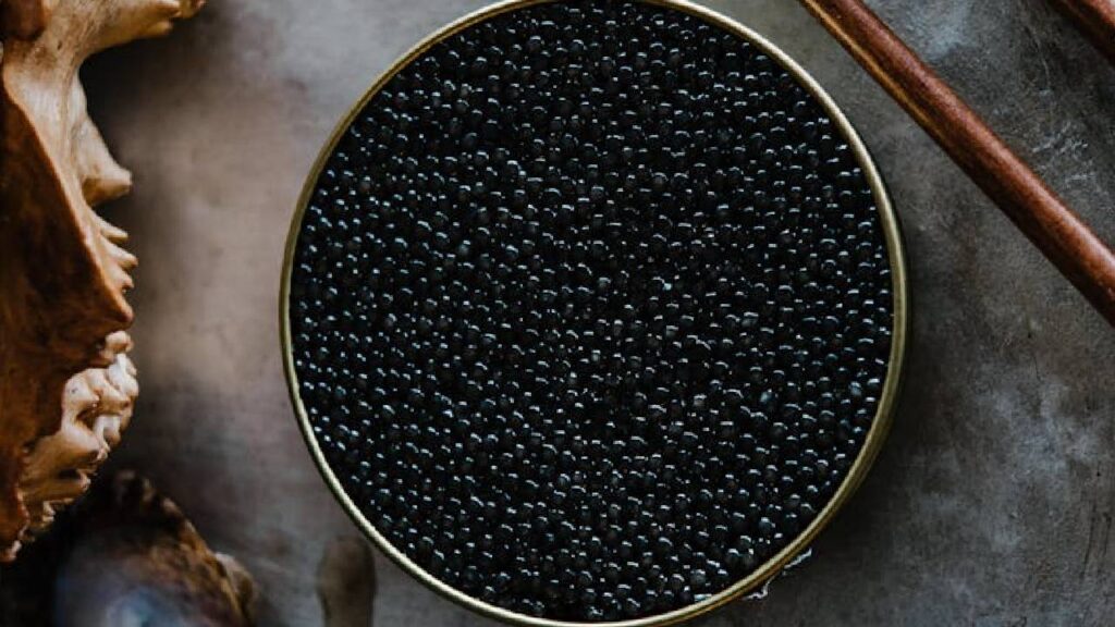 Unveiling the Truth Behind the World’s Most Luxurious Delicacy