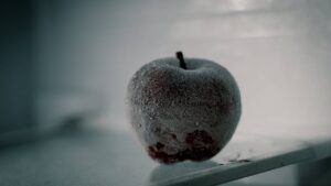 फल-सब्जी किसानों की मुश्किलें होंगी कम, सरकार बनाएगी हर जिले में कोल्ड स्टोरेज