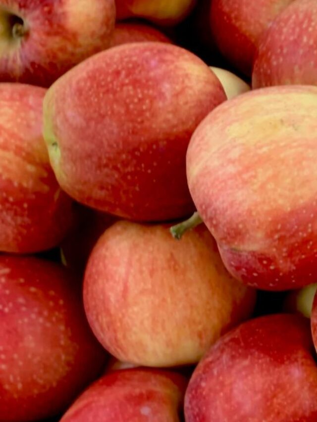 कम करना है वजन तो रोजाना खाली पेट खाएं सेब, होंगे गजब के फायदे