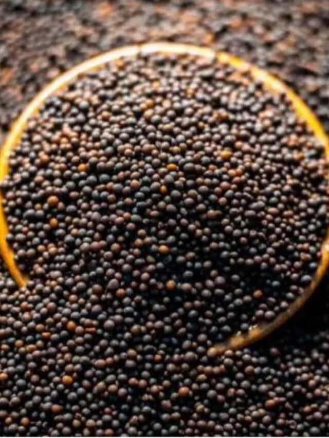 2 किलो बीज से 20 क्विंटल मिलेगी उपज, इस फसल की करें बुवाई