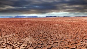 हिमाचल में सूखे जैसे हालात, गेहूं नहीं हो रहे अंकुरित.. किसानों की बढ़ी चिंता