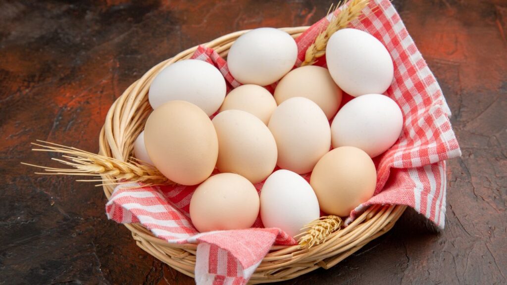 Egg export