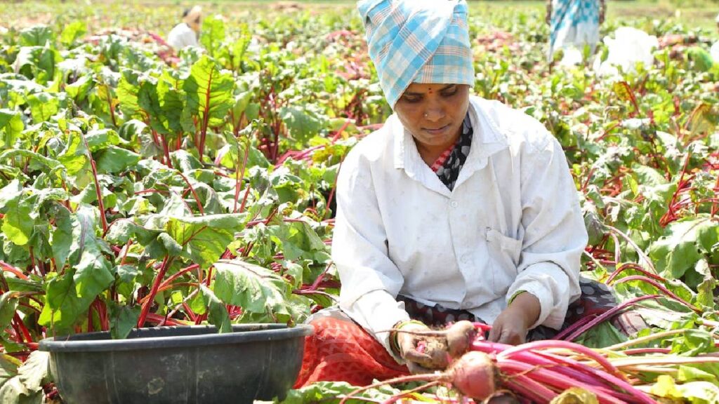Maharashtra Mandates Government Approval for Traders Buying Crops from Farmers