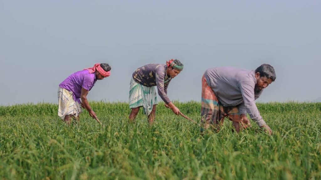 Agricultural Policy