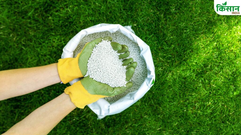 fertilizer crisis