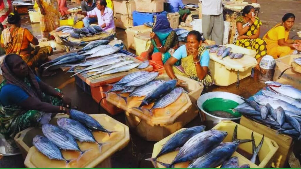Fish Farming