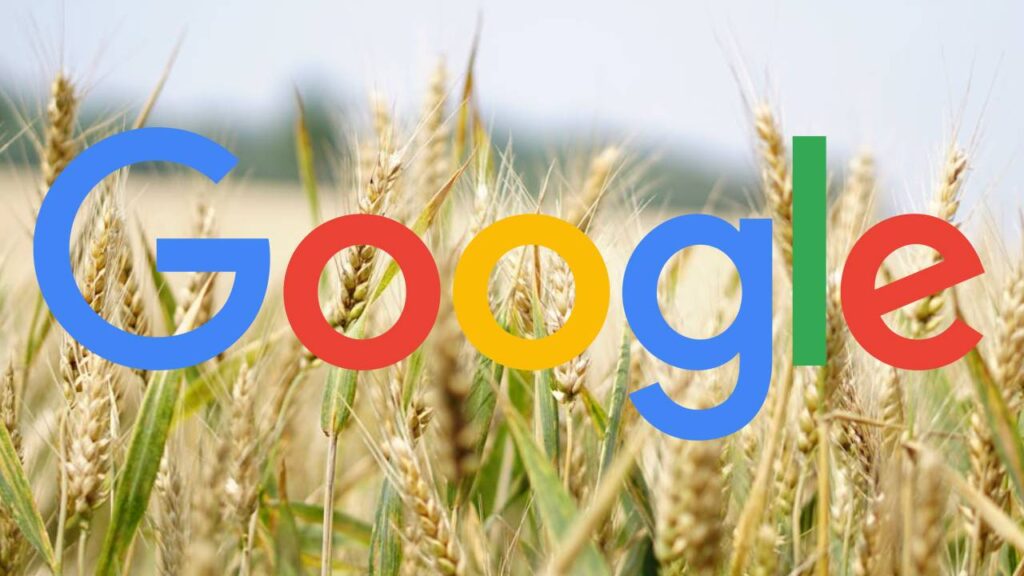 Google Unveils New AI Tools to Transform Indian Agriculture and Language Access