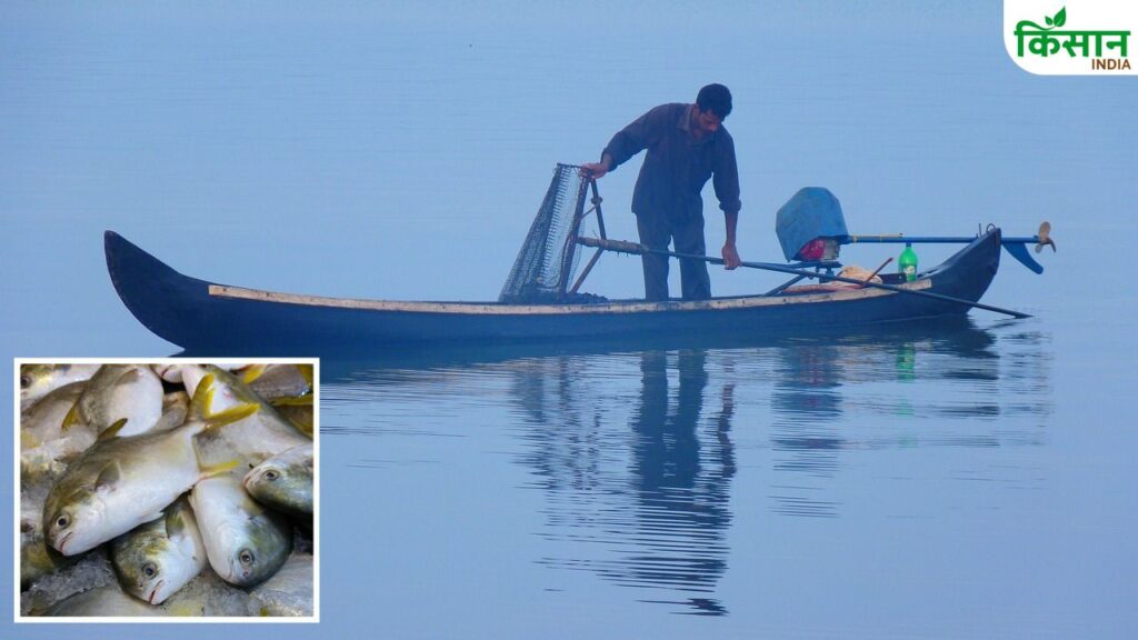 fishing tips