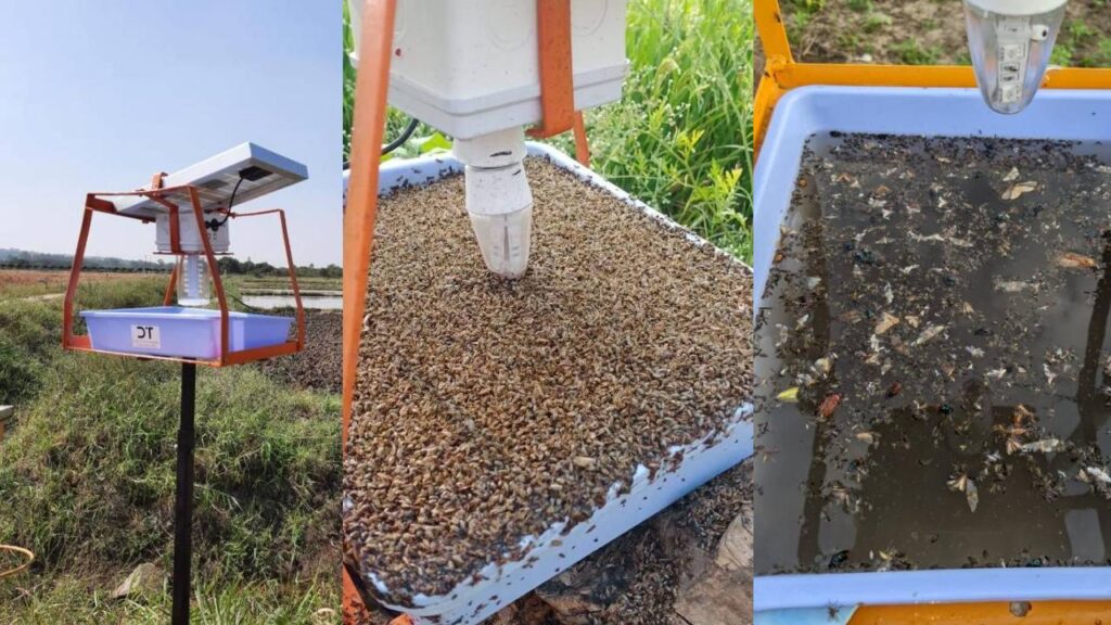 iTrapper Revolution: Cut Pesticide Costs and Save the Environment with Smart Pest Control