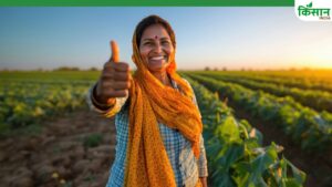 रक्षाबंधन से पहले 1.27 करोड़ महिलाओं के खाते में पहुंची 25वीं किस्त, अब पक्का घर देने की घोषणा