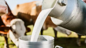 Milk Price Hike: दूध की कीमत में 3 रुपये की बढ़ोतरी, अब इतने रुपये लीटर हुई कीमत