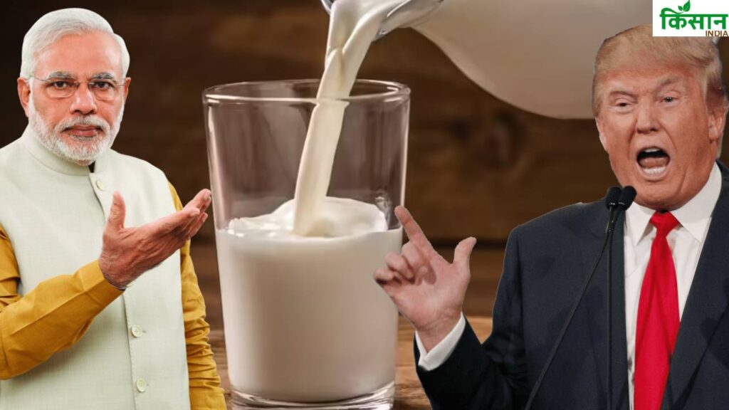 What Is Non-Veg Milk? The Reason India-US Trade Deal Is Stuck