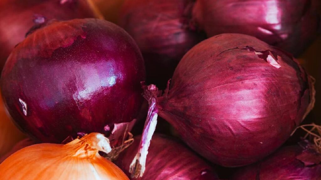 Gujarat onion farmers aid 2025