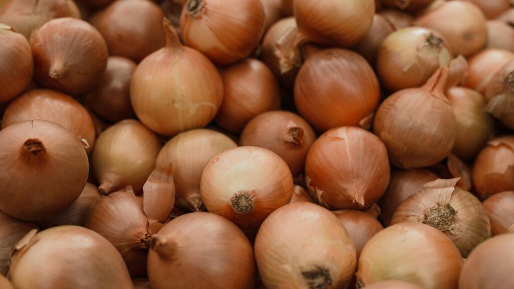 onion price fall